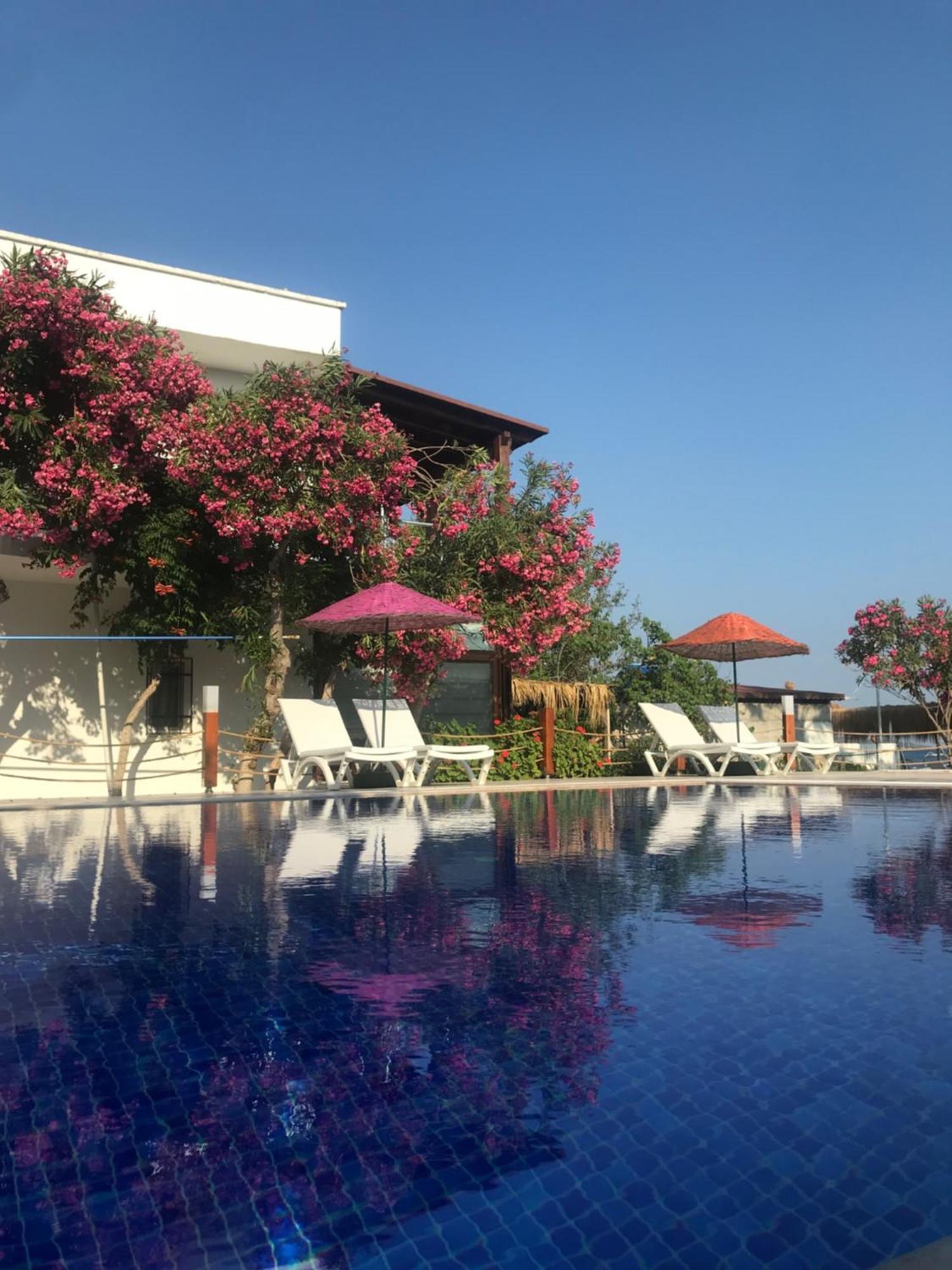 Yilmaz Hotel Ortakent Exterior photo